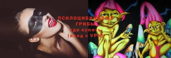 а пвп мука Абаза