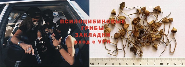каннабис Ладушкин