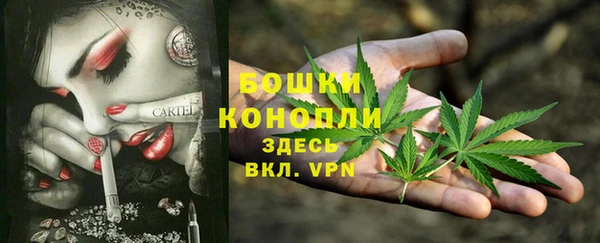 а пвп мука Абаза