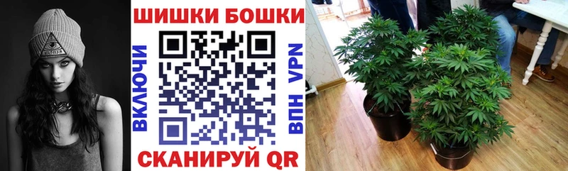 Конопля гибрид  дарнет шоп  Тутаев 